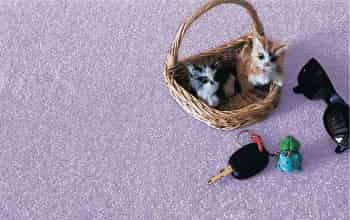 duvardan duvara halı